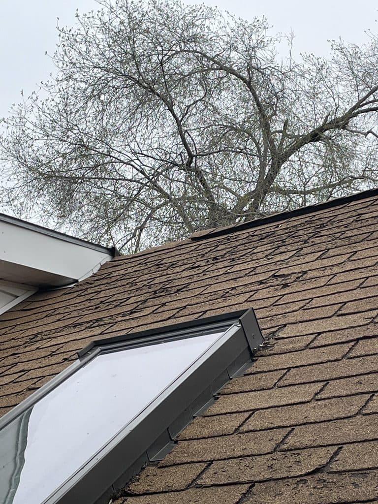 Skylight set into a brown shingle roof